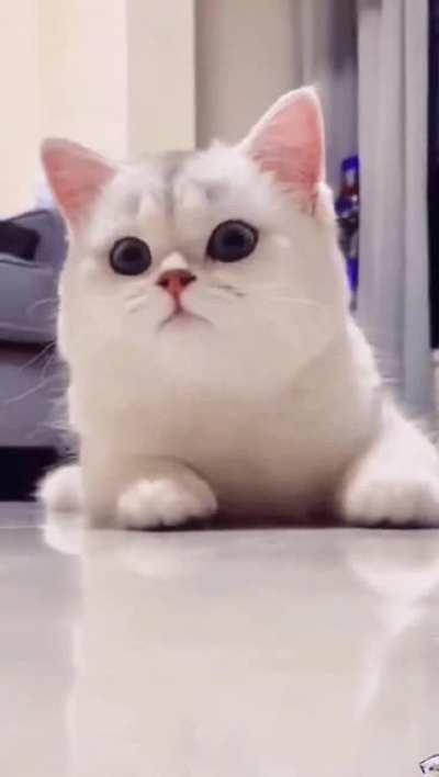 When your mom finally forgets to misgender you and calls you by your preferred pronouns instead