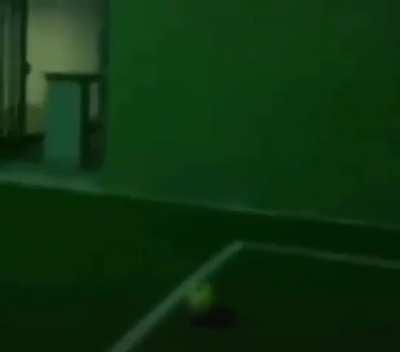 Foi bomba igual falo