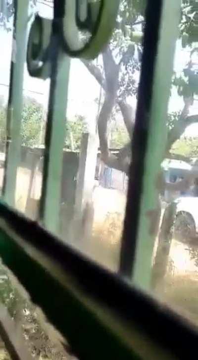 Tres Valles Veracruz, Estatales y Ministeriales vs ??