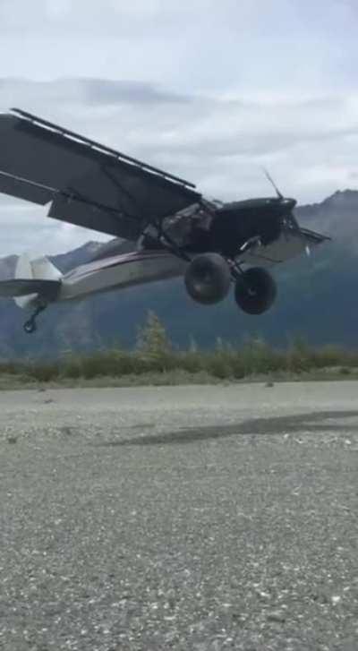 A Piper PA-18 Super Cub almost doing a vertical landing due to strong headwind