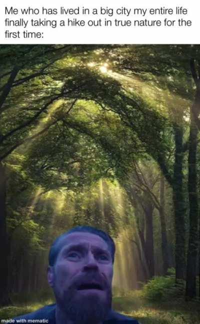 Appreciate life and it’s beauty