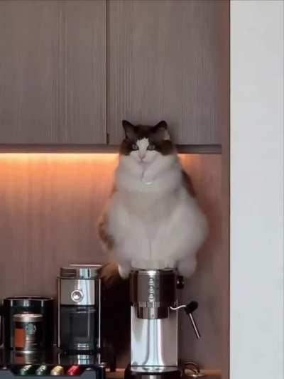 It looks like I have a personal barista