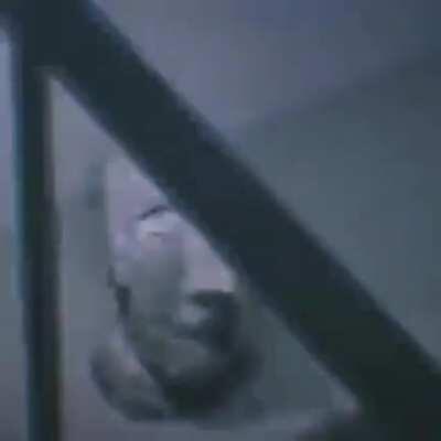 day 2 of making oompa do this in a video