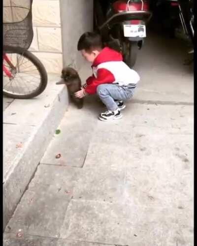 ViCiOuS fUcKiNg HuMaN tHrOwS DoGe iNtO FuCkInG sPaCe