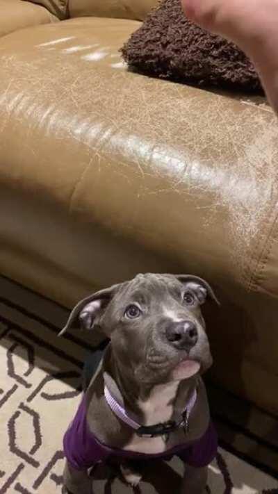 2020 sucks, but at least I have his silly girl