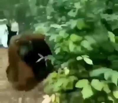 Posting SFW videos I found in NSFW Discord channels Day 4