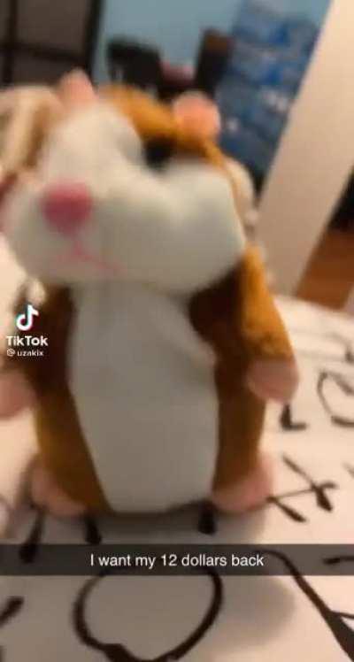 Omg…what the actual