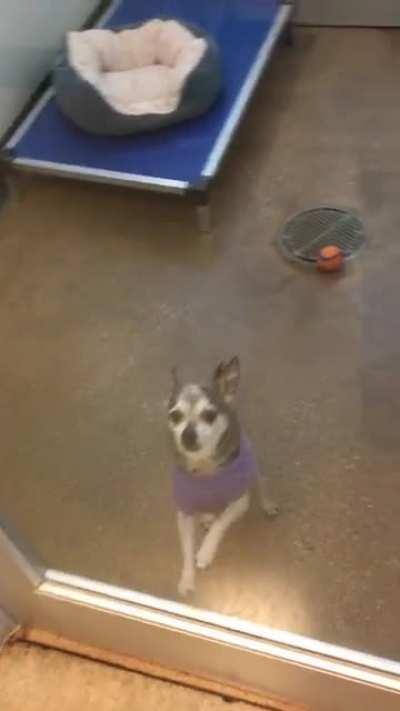 That one resident who makes you feel extra special.