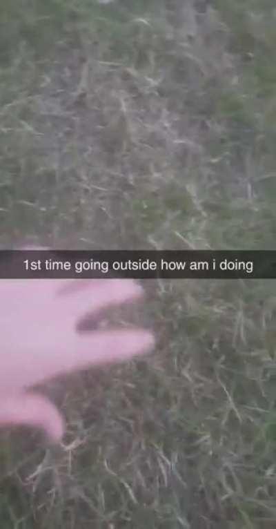 finally went outside