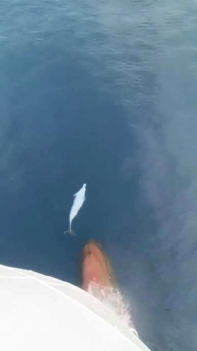 This is so beautiful. 