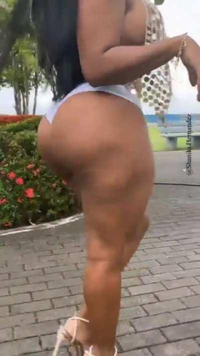 Shaniki Hernandez 🦓