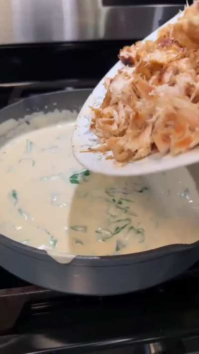 Chicken Alfredo Lasagna!