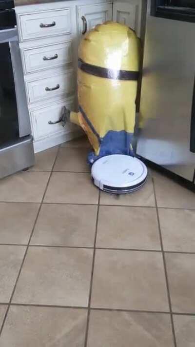 My Minion is a Minion