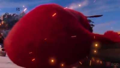 who's da biggest bird?