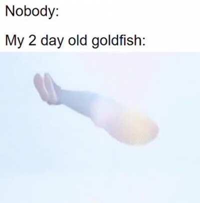 He's just taking a nap