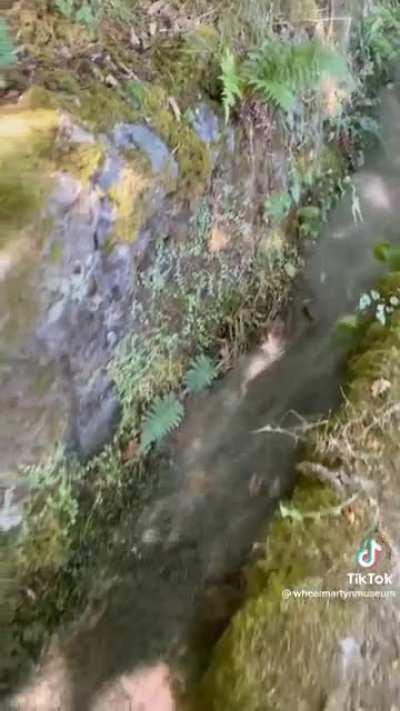 Waking up a 120 year old water wheel