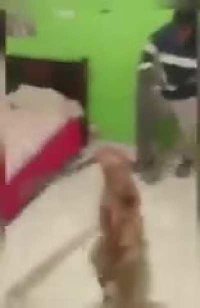 My dog don't bite. Just uses machete