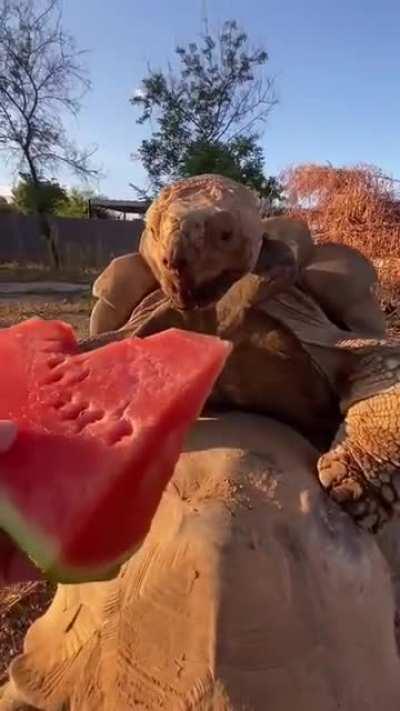 Bro's a one man pit crew