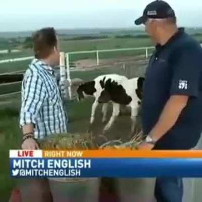 Reporter turns into Bill Burr