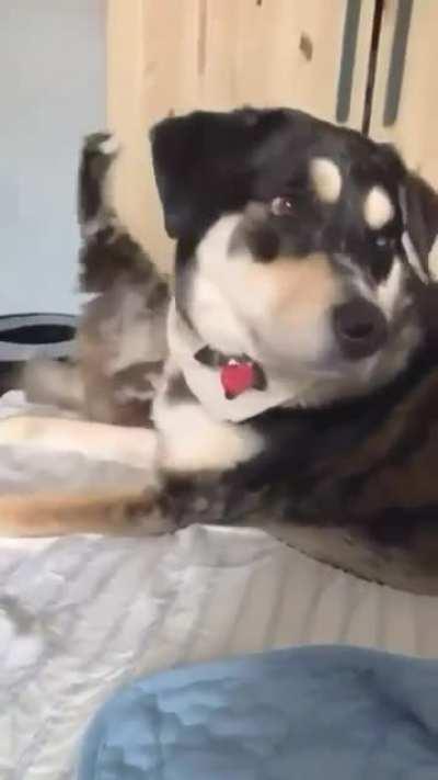 Did someone say food?