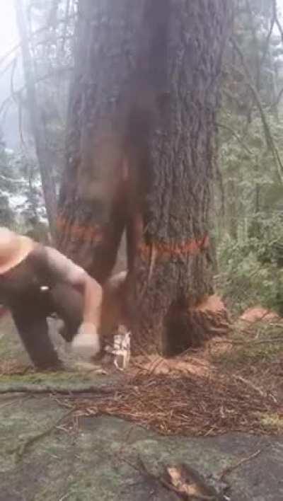 I can feel the panic.