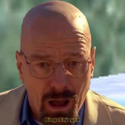 Walter no that was Gustavo's penguin!