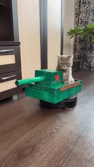 When you get your driver license