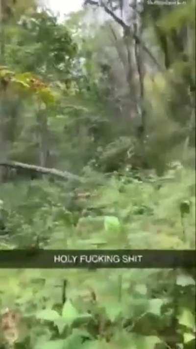 Dad Reflexes....not!