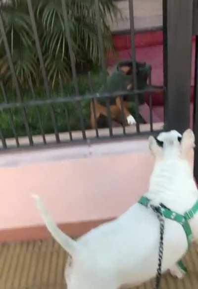 That is so embarassing..