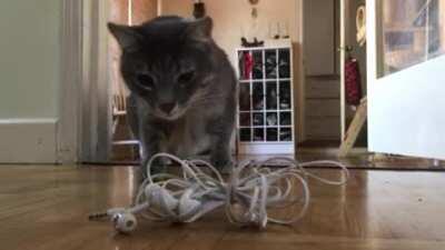 Even a dead looking pair of headphones can have life in them. Be careful