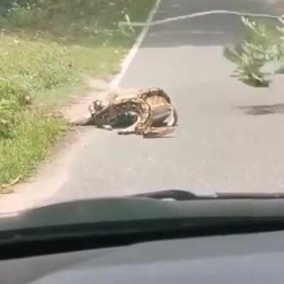 Dunno if it's the right place, but it sure is interesting how humans think they must interfere everywhere.