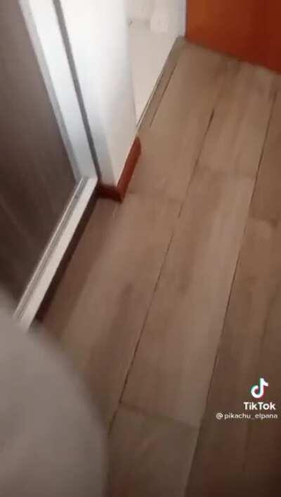 Sabías que un tenedor pincha, pero una cuchara no?