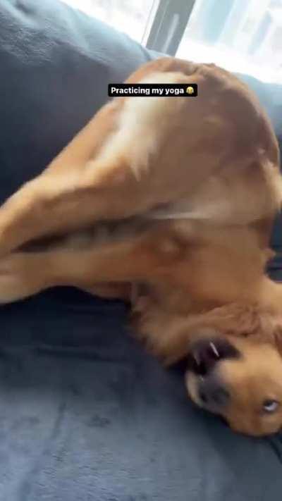 Today I woke up playful