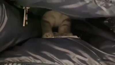 When you stare into the abyss, sometimes the abyss stares back