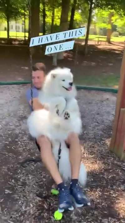 Rumor has it i’m da cutest pet on da internet🧐🧐🧐