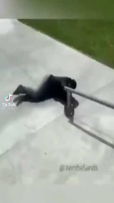 Yullalol - Video #4489