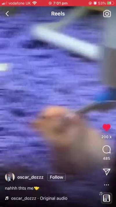 How do you identify?