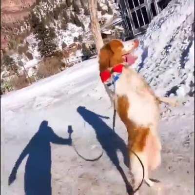 Making my way downtown