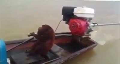 indo para o churras dos subs me aguardem