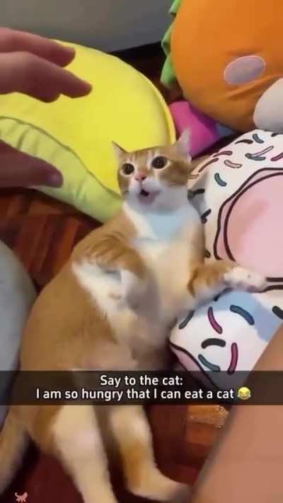 Wunk trembles in fear!!