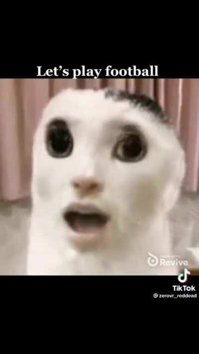 I'm sorry for this fucking nightmare