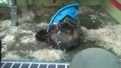 Twisted story of MonkE