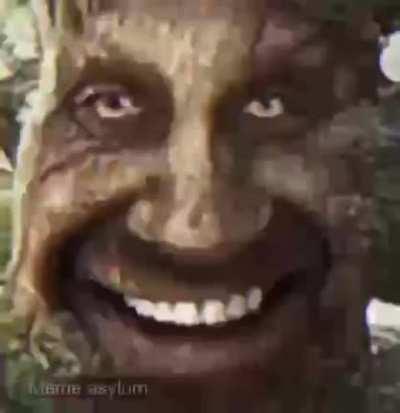 RAPE CHILDREN AND MINORITIES!