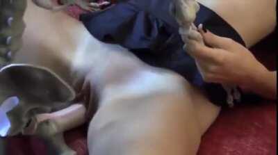 Hottie bangs a Skeleton