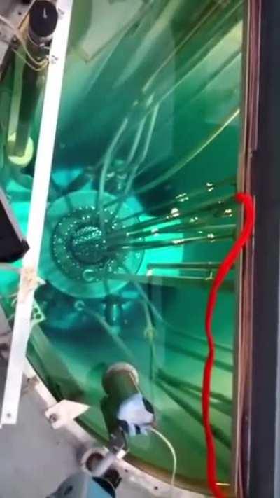 Top 10 things that I never want to film. #1 entry.