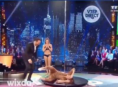 HMC while I try the pole on TV