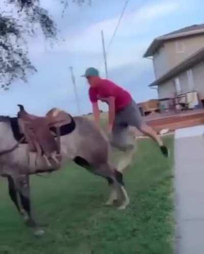Trying to jump onto a horse's back