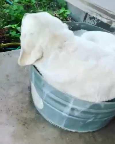 If Duke fits, Duke sits