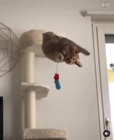 Perfectly calculated