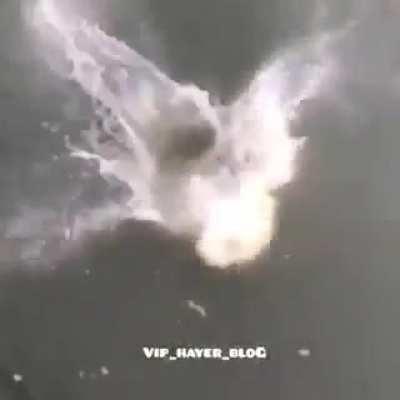 Fucked around an found out